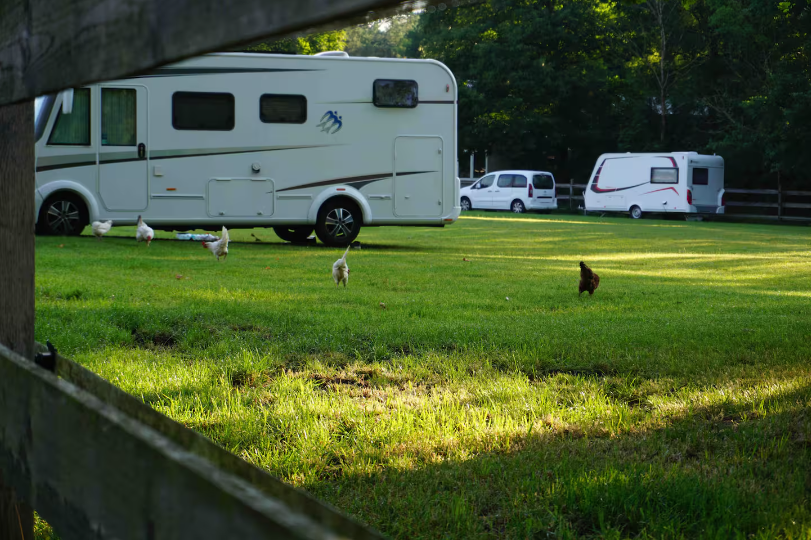 Wüsthof Dammerstorf Camping photo 3