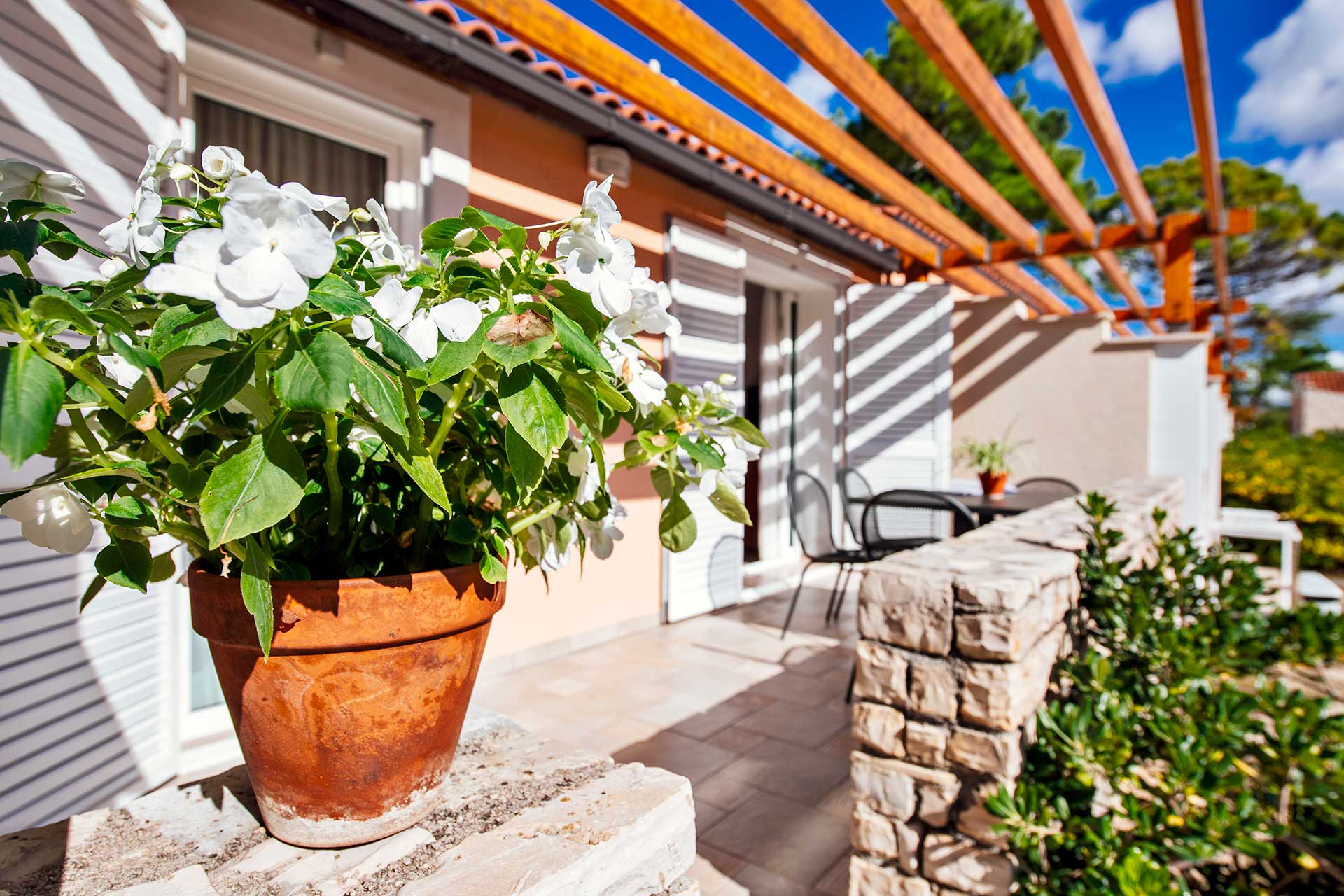 Zaton Holiday Resort Apartments
