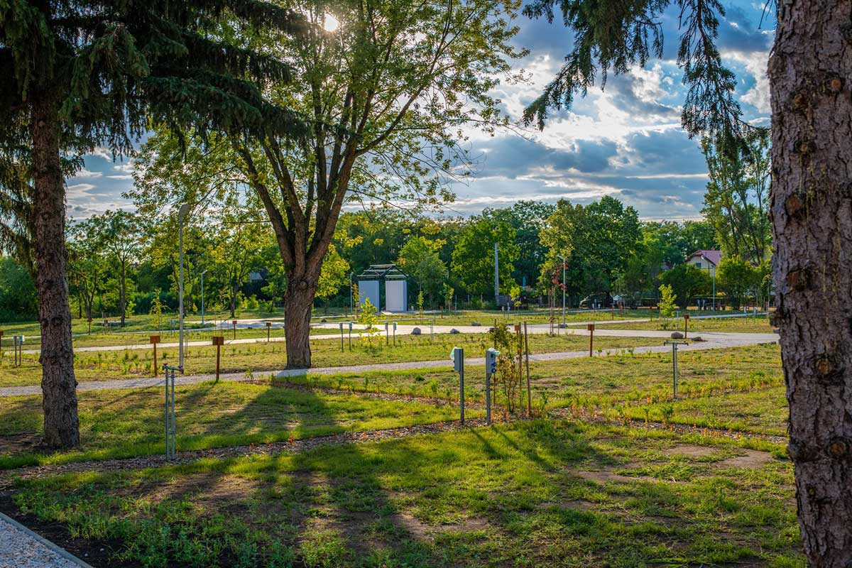 Zsóry Liget Camping & Resort photo 5